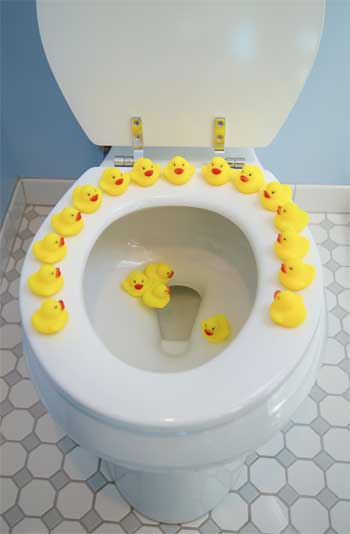 Toilet Repair in Wilmington, North Carolina