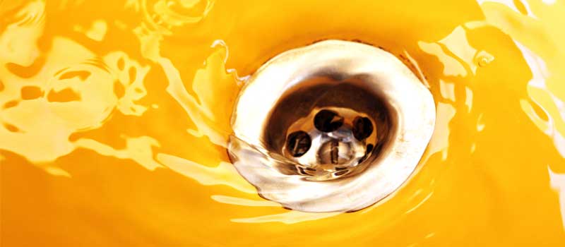Drain Cleaning in Wilmington, North Carolina